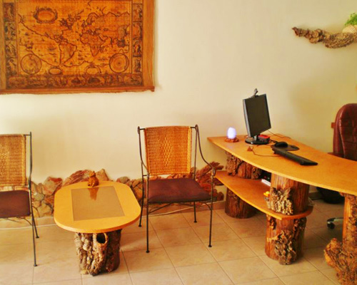 Halo Spa - Recepção